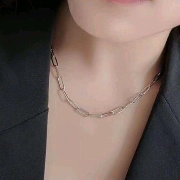 Paperclip Stainless Steel Necklace - Picture 1 of 2
